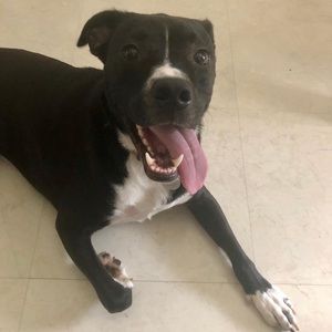 Meet your Posher, Kassandra